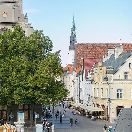 Vip Old Town Apartment *