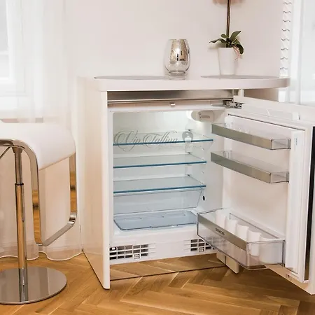 Apartment Vip Old Town *