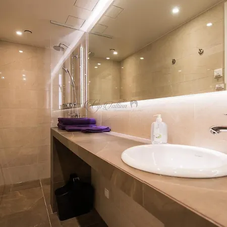 Apartment Vip Old Town