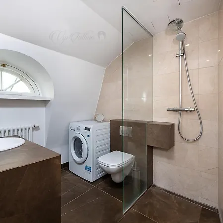 Apartment Vip Old Town *