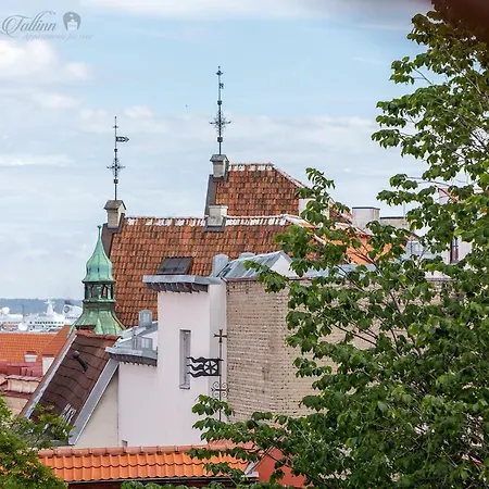 Vip Old Town * Tallin