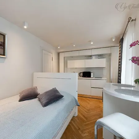 Apartment Vip Old Town