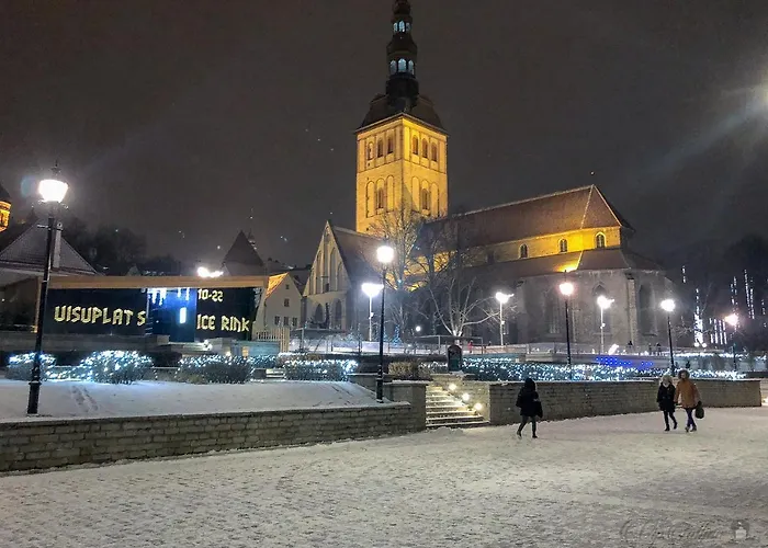 Vip Old Town 아파트 탈린