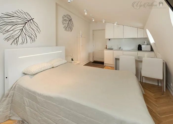 Appartement Vip Old Town *