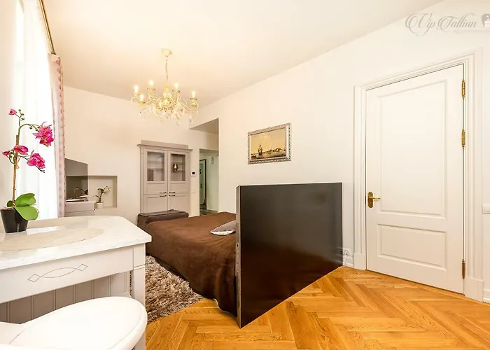 Vip Old Town Appartement